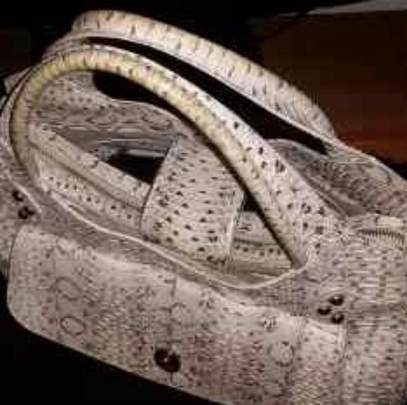 Genuine SNAKESKIN PURSE - Picture 4 of 8